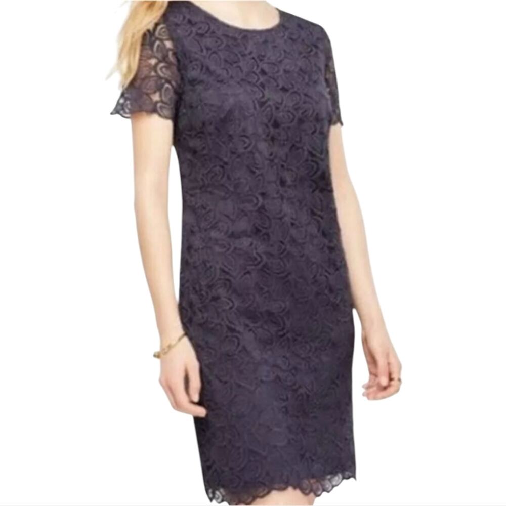 Ann‎ Taylor Bue Grey Lace Shift Dress Scallop Edge Style Women's Size 4 New